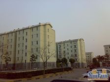 景舒苑三村 3室2厅 南 北