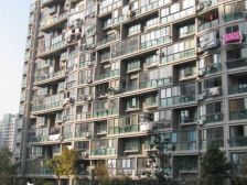 无抵押,电梯房,产权清晰 新上房源
