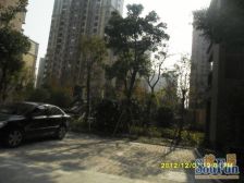 新上!中间楼层,采光好,户型方正,看房方便