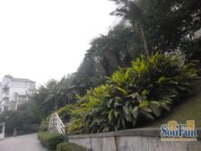 大社区联排,带花园车位.可做茶楼民宿..