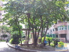 电梯一房一厅 居住适宜 价格便宜 可租可住