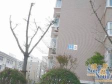 地域位置好 生活设施便利 出行购物方便