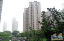 世纪大道电梯大三房,看房方便,业主诚心出售-采光无遮挡
