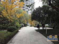 渝中协信云栖谷低价房屋出售交通便利环境优美