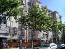 此房阳光刺眼 南北三房全明 带25平大天井 有车位