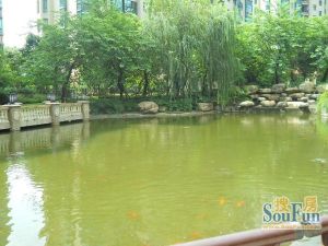 恒大城4室2厅东南
