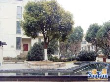 南翔 · 金地格林世界柯玛仕庄园 · 7室 · 2厅