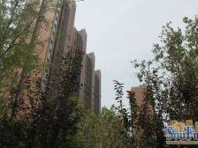 御桥·万科金色城市·3室·2厅