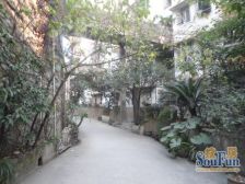 南坪东路 新华小区 带装修2房 电梯房 房子采光通风好