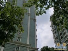 莘庄·中祥哥德堡·2室·2厅