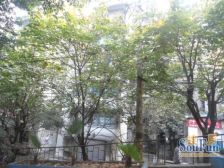 此房楼层好,交通便利,户型方正,楼层适合住家