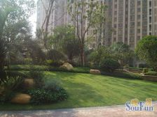 中创旁花城三期前排精装小三房