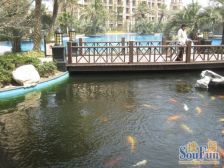 三期中间位置+中间楼层+视野好+户型通透诚意出售