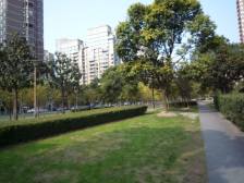 古北二期,全明南北通,景观大1房,全权獨家代理,找我少走弯路