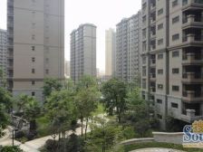 光大景湖时代城 1室0厅 西北