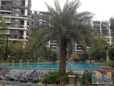 五缘湾 联发五缘湾一号 朝南户型 楼中楼