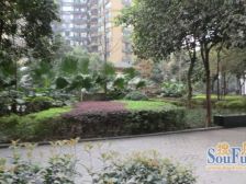 金色家园(南岸) 3室1厅 东南