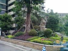 出门轻轨站 3室2厅双阳台 随时可看