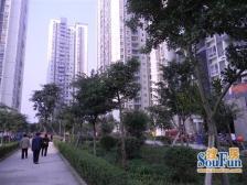 陈家桥 国盛龙腾丰文A区三房40.8万