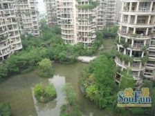 天鹅湖花园5室2厅南
