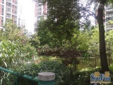 近地铁+全明3室2卫,视野赞,景观开阔,采光足