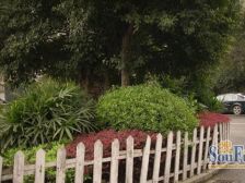 云满庭C区 3室2厅 东南