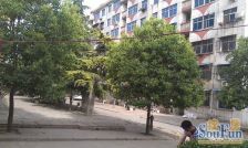 洛钢路社区2室1厅南北