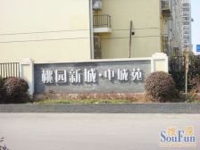 中间楼层、大一房、户型方正、前面无遮挡、采光好