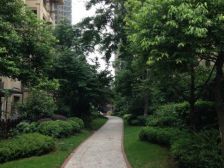 鸳鸯 复地别院五房380万