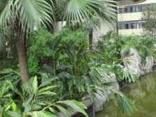 海客瀛洲 3室2厅 东南