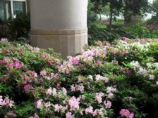 房子小区一共有三栋,位于朝天门码头滨江路