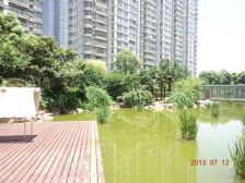 中南世纪城 公寓南区 精装修 2房复式楼 东南方向