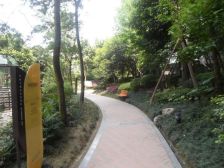 南阳盛世 3室1厅 东 西