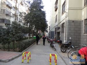 和泰苑3室2厅南北