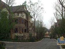 汽博融创纯别墅区内圈三联中户配套成熟 近重庆北站