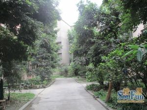 塔西南石油小区 3室1厅 南