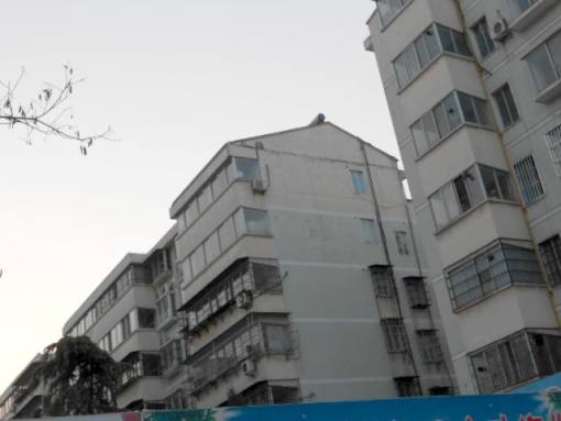 居业家园3室1厅1卫南北朝向900.00元/月出租