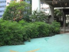 来福士旁,一线看江看南山,看房方便,正看长江来水。