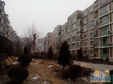 阳光月秀 南北通透 五明户型 精装修 采光好