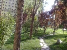 山水兴城 两室毛坯次河景 高层采光好 全天采光 随时看