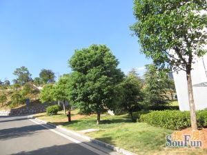 此房南北通透,带暖气热水小区环境好自带山体公园