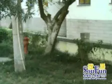 沧实小振华施教区,四楼带阁楼空间大采光好,业主诚售