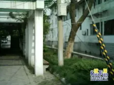 历史古街相邻,临河独栋私房,设计师精心设计装修