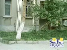 象牙新村视野好总价低的大三房,全明户型,南北通透,房东非常诚