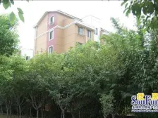 嘉元花园大三房 超南南北通透带自行车库诚心卖房中间楼层近轻轨