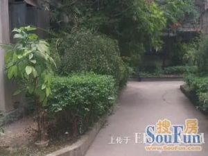 百花东街52号2室1厅南