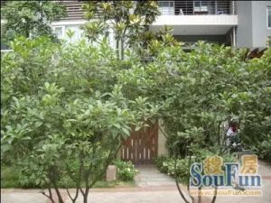 江东民居一区2室1厅东南