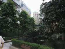 缙云花园 4室1厅 东