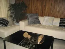 平安摩卡朝南正规一室一厅 户型方正