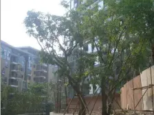 龙湖春森彼岸 北滨路 鲤鱼池 双轨道 精装修两房